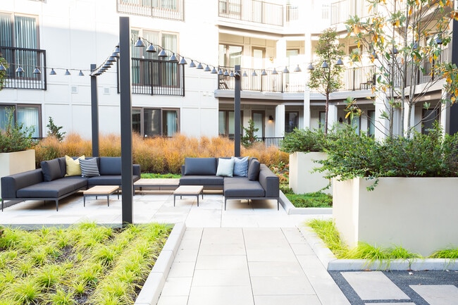 Zen Courtyard Lounge - Axel Brewers Hill