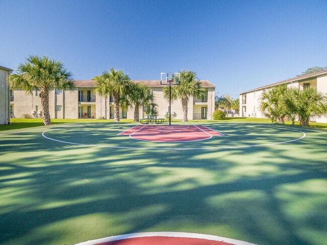 Basketball Court - College Town at USF Apartments