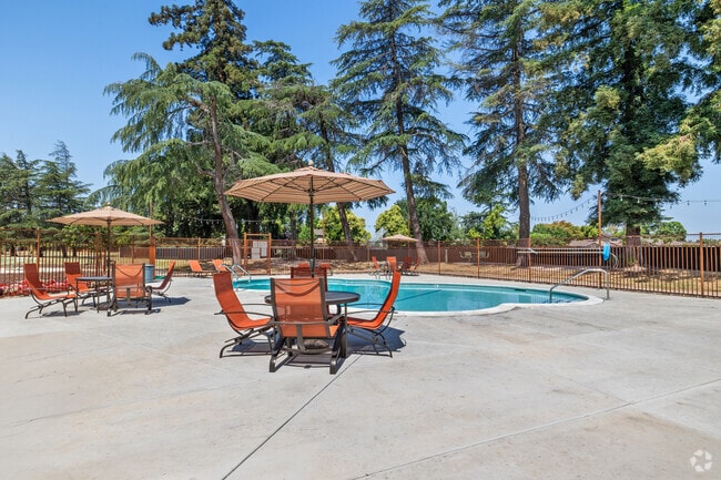 Building Photo - Laguna Park Rental