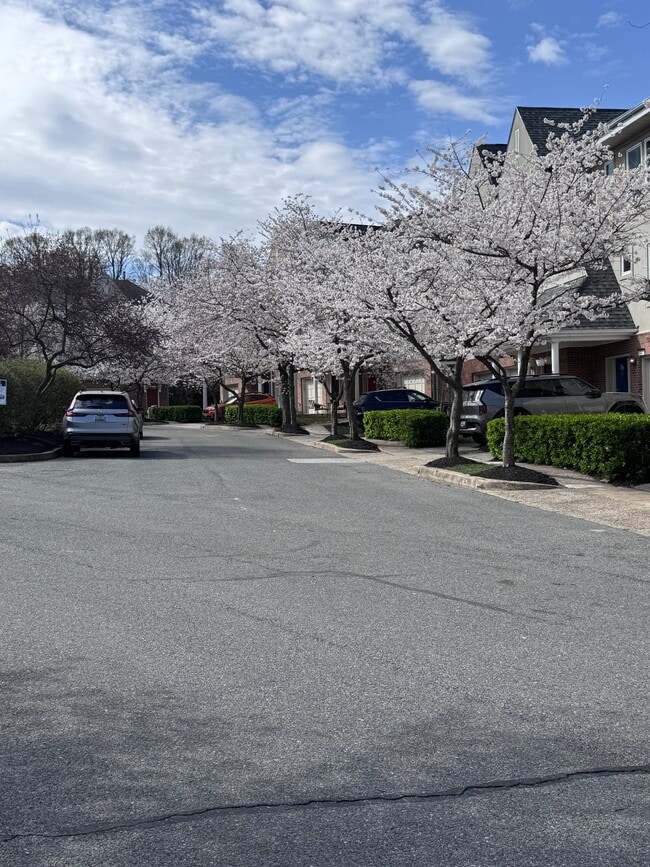 Photo - 5218 Tabard Ct