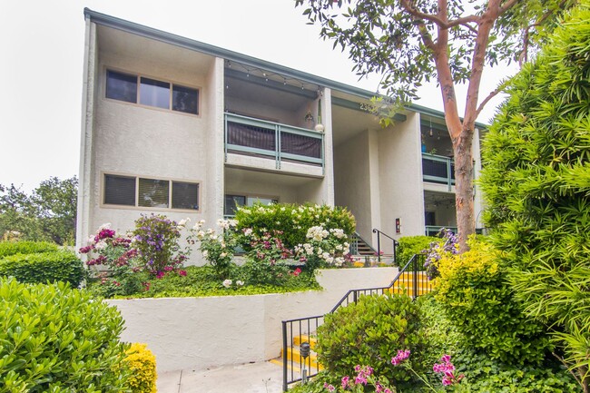 23679 Park Capri Unidad 23679 Park Capri #13