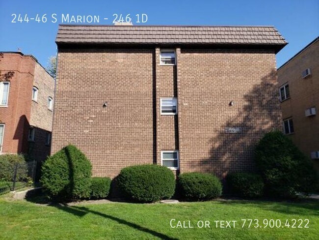 Downtown Oak Park 1 bedroom 1 bath with pa... - Downtown Oak Park 1 bedroom 1 bath with pa... Apartamento Unidad 246 1D