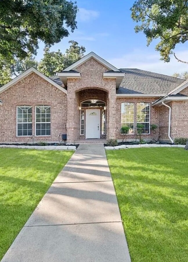 blue forest - blue forest