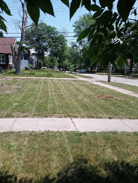 Photo - 219 Fernwood St