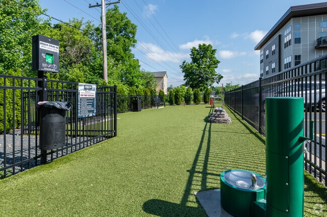 Dog Park