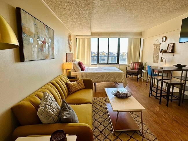 Living/Sleeping Area - 1700 Clinch Ave Unit #521
