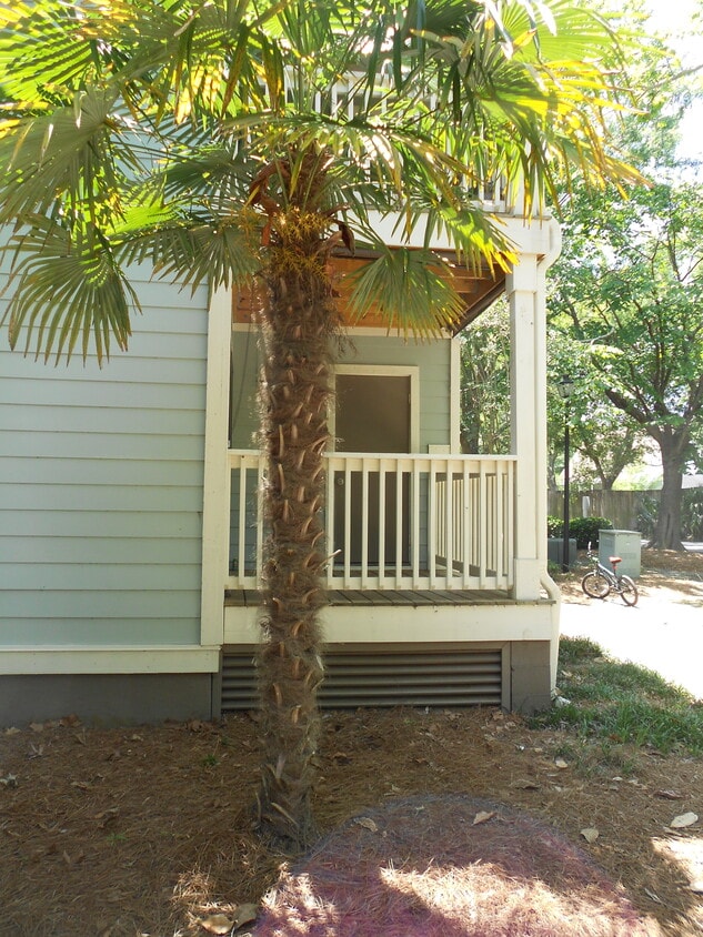 All-Inclusive Furnished 1 Bedroom 1 Bath with Office Center in Bay Club- 2 miles Sullivan's Island - 1481 Center St Ext (Mount Pleasant, SC)