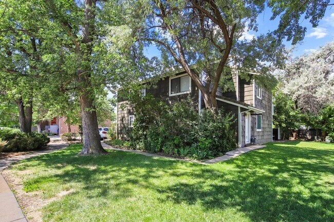 Building Photo - Newly Remodeled 1 BR Available Now! Rental