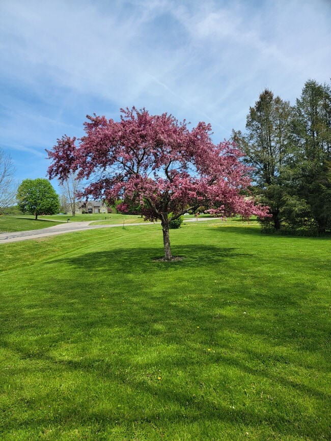 Photo - 4052 Quail Rdg