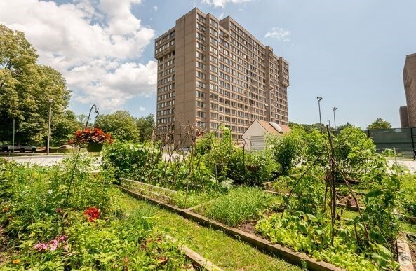 Building Photo - 250 Hammond Pond Pkwy Unit 1208N Rental
