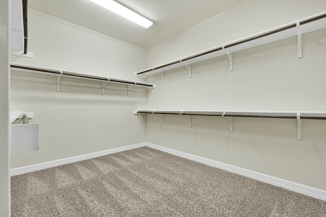 Photo - 10407 Palmera Dr