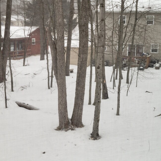 Building Photo - 5282 Sunshine Ln