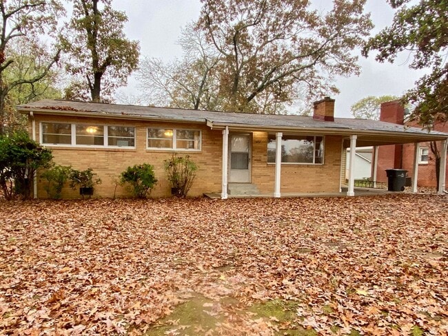 Freshly renovated 4 bedroom 2 bathroom hou... - Freshly renovated 4 bedroom 2 bathroom hou... House