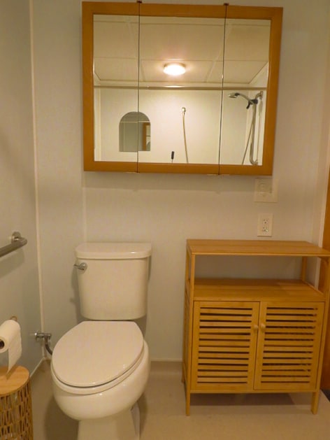 Baño (incluye ducha de tamaño completo con cabezal de ducha ajustable). - 365 Lynne Dr