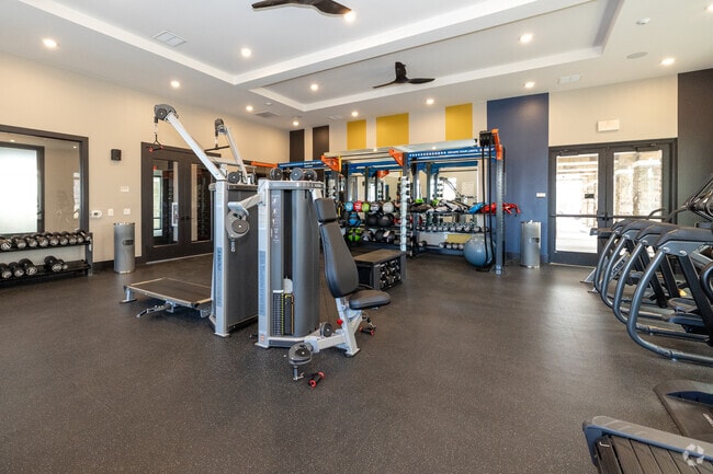 Gimnasio