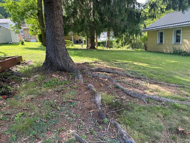 Photo - 13 Pallister Rd
