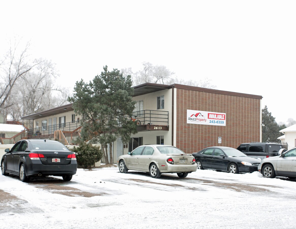 Photo - Spring Meadow