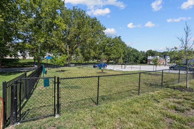 Dog Park