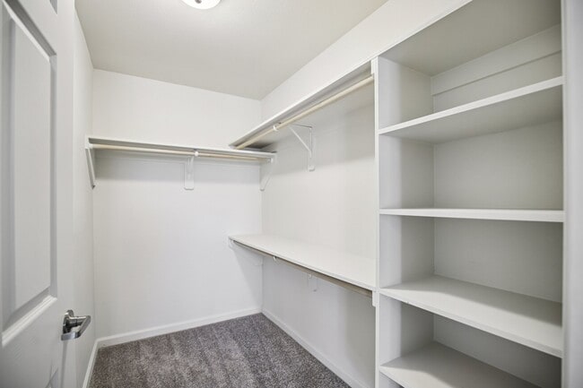 Ascent Apartments