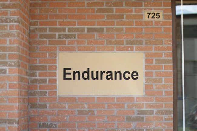The Endurance