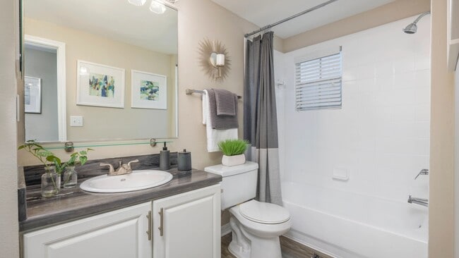 Dive into modern luxury! Experience updated bathrooms with sleek countertops, wood-style flooring, and oversized mirrors.