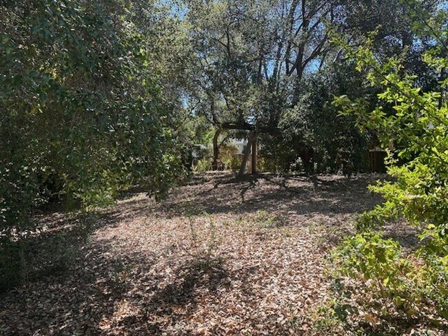 Photo - Historic Home On Huge Lot With Swimming Po...