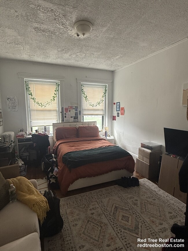 Building Photo - 238 Hemenway St Unit 6