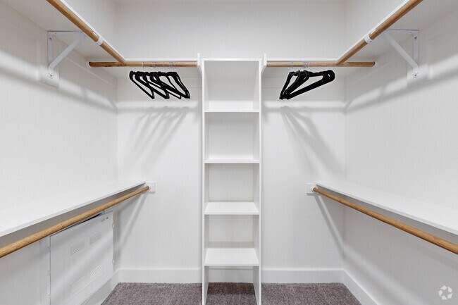 1BR, 1BA - 775SF A2 - Closet