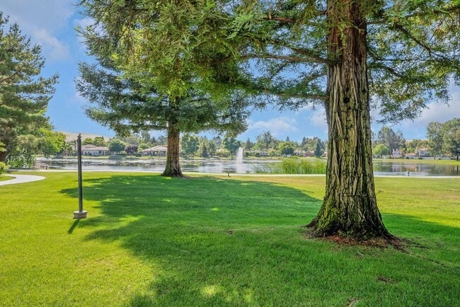 Photo - 14500 Las Palmas Dr