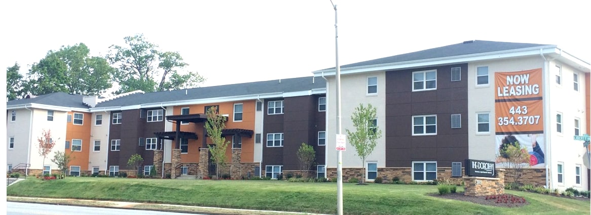 Primary Photo - The Dorothy J