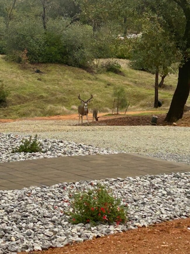 Photo - Breathtaking Views – Brand New 2 Bed, 1.5 Bath Home for Rent! Available Nov 1st | Mt. Bally | Mt...