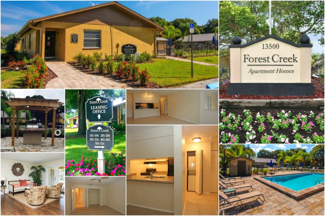 Forest Creek Apartments For Rent In Largo