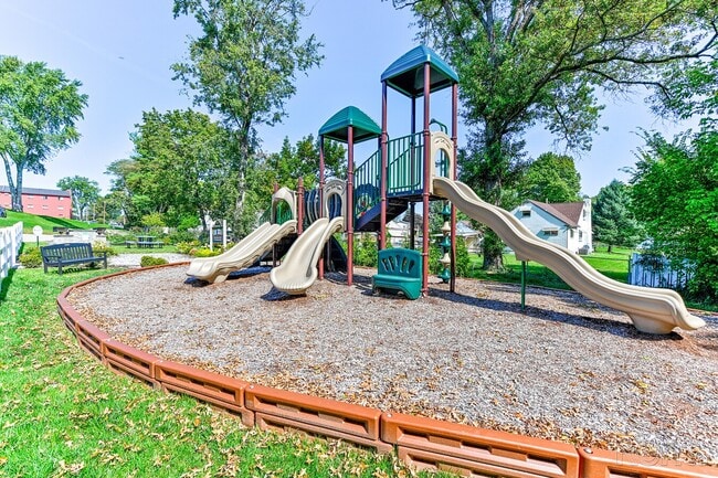 Maple Hill