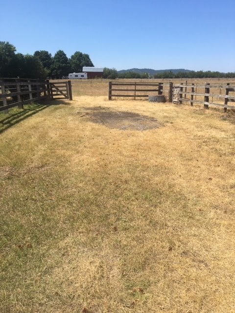 Photo - SINGLE FAMILY HOME HORSE PROPERTY ON PRAIRIE AVENUE (APP#106)