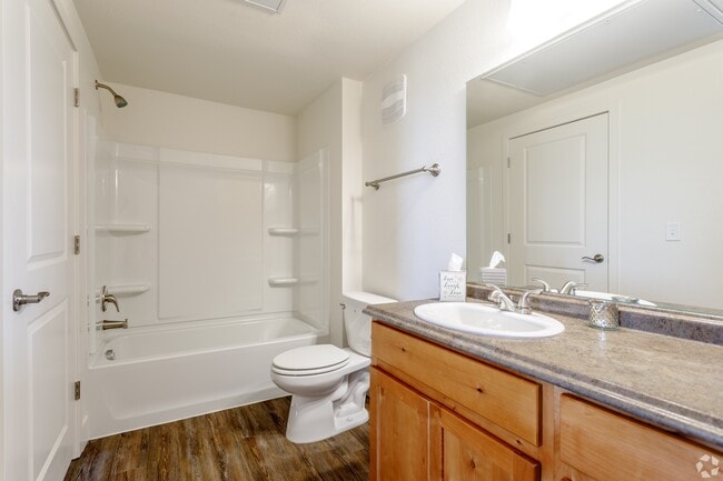 Mountain View Apartments at RainDance