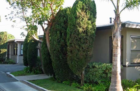 Photo - Lido Apartment Homes