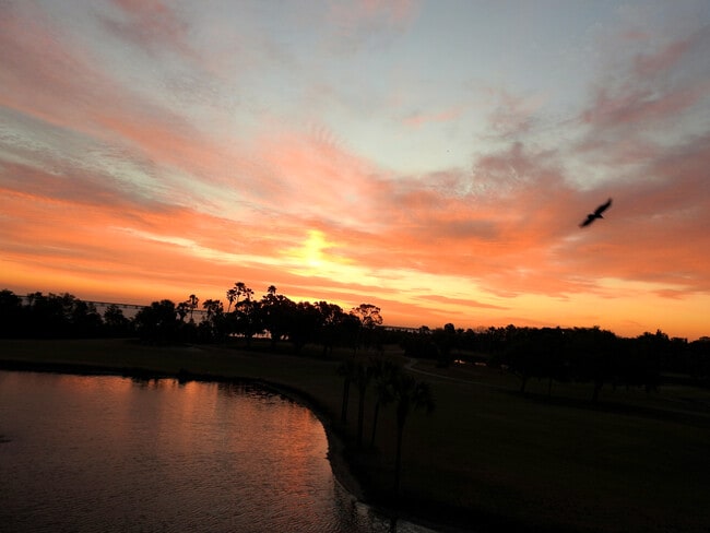 Photo - 2620 Cove Cay Dr Unit 402