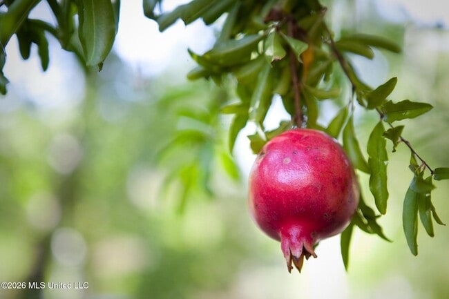 Photo - 926 Carlisle St