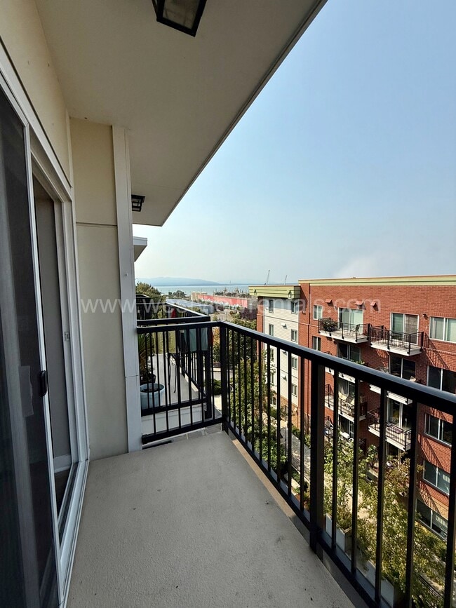 Photo - The Sandpiper