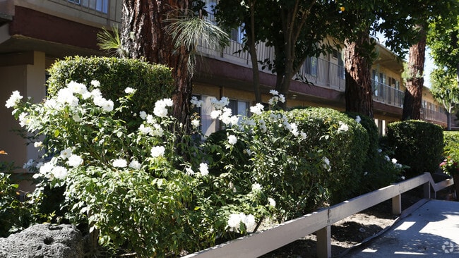 Southwest Pointe Apartments - Southwest Pointe Apartments