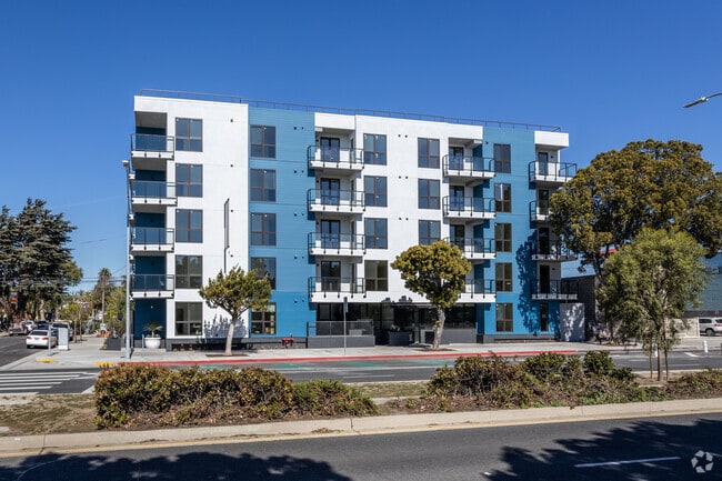 The Charlie Mar Vista