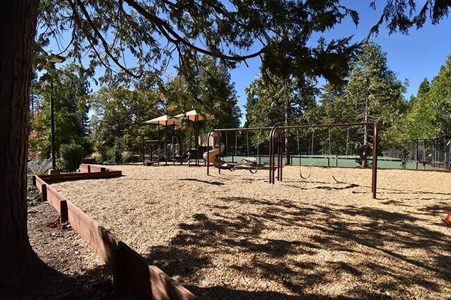 504 Dogwood Dr Unidad 3