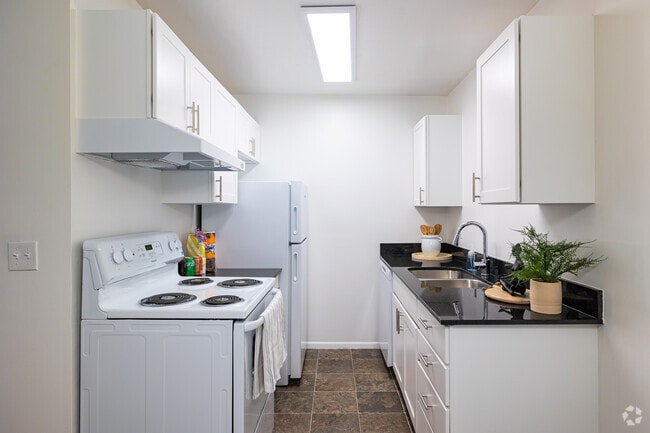 1BR, 1BA - 750SF - Kitchen
