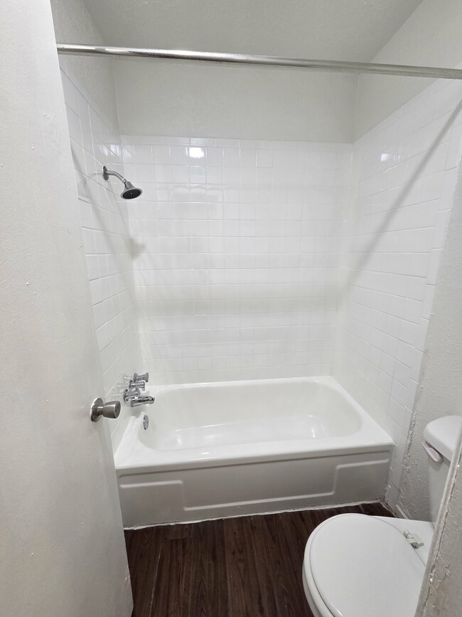 20250728_091651.jpg - Turtle Dove 1