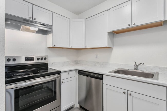 Photo - Arise Bellingham