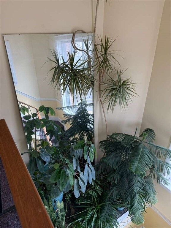 Building Photo - 16-18-18 Walk Hill St Unit 11