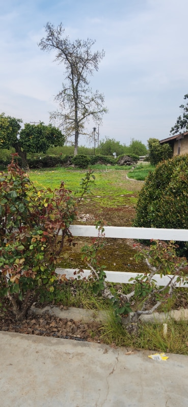 Photo - 9905 Ave 404