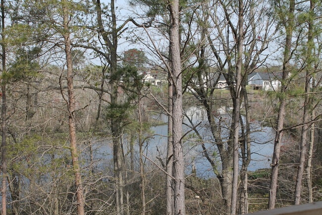 Scenic views rsurrounding the community.
