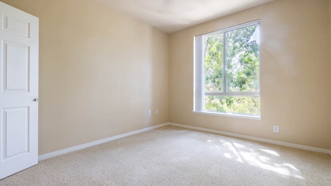 Carpeted Bedroom - City Pointe