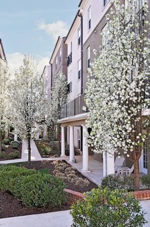 Photo - 730 Walker Sq Unit 1B